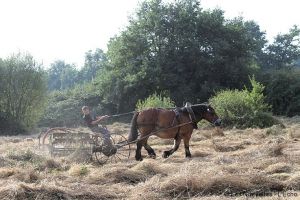 À faire à cheval